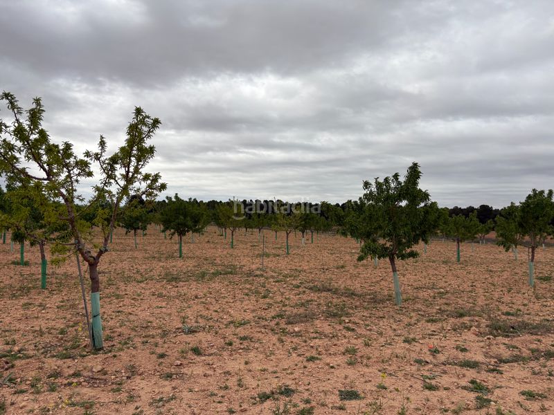 Foto 499ed845-ac87-4838-9f81-e879fe2c4ce7. Finca rústica a n/a a Bonillo (El)