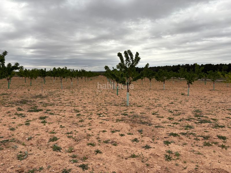 Foto 6cd4244f-5d6f-42c2-9419-b2c6e40a4f41. Finca rústica a n/a a Bonillo (El)