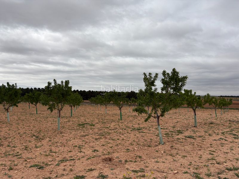 Foto 7e75e3cc-8180-4161-b4b2-cbe005d48cc2. Finca rústica a n/a a Bonillo (El)