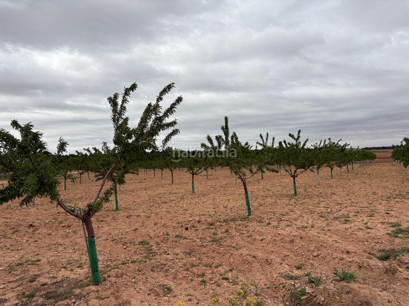 Foto ec4f76a2-627d-420b-9f25-1eab14dd8d16. Finca rústica a n/a a Bonillo (El)