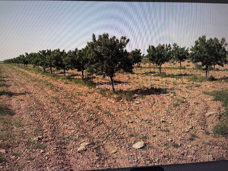 Foto 4e29b39d-20a9-4012-bf6f-d426cbdb5e98. Finca rústica a n/a a Socuéllamos
