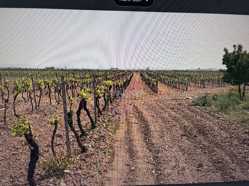 Foto f83b582f-30ee-4d10-a11a-01138f84fa16. Finca rústica a n/a a Socuéllamos