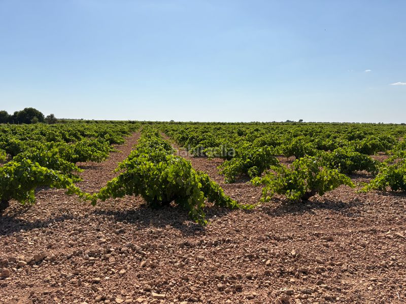 Foto 349146e0-d91b-4d78-92e0-2d35ff85d906. Finca rústica a cm-3102 9 a Tomelloso