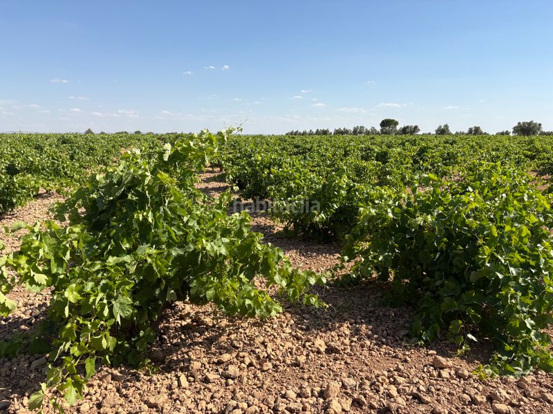 Foto 536c9d90-74b2-415e-a2fd-2df0abef90dc. Finca rústica a cm-3102 9 a Tomelloso