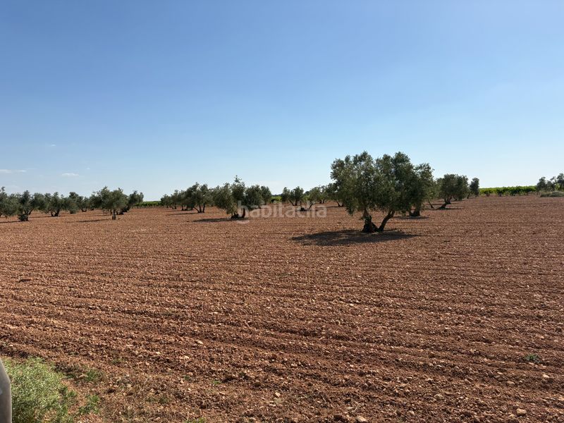 Foto 3b789883-d247-454c-b408-bf37c5cff03a. Finca rústica a cm-3102 9 a Tomelloso