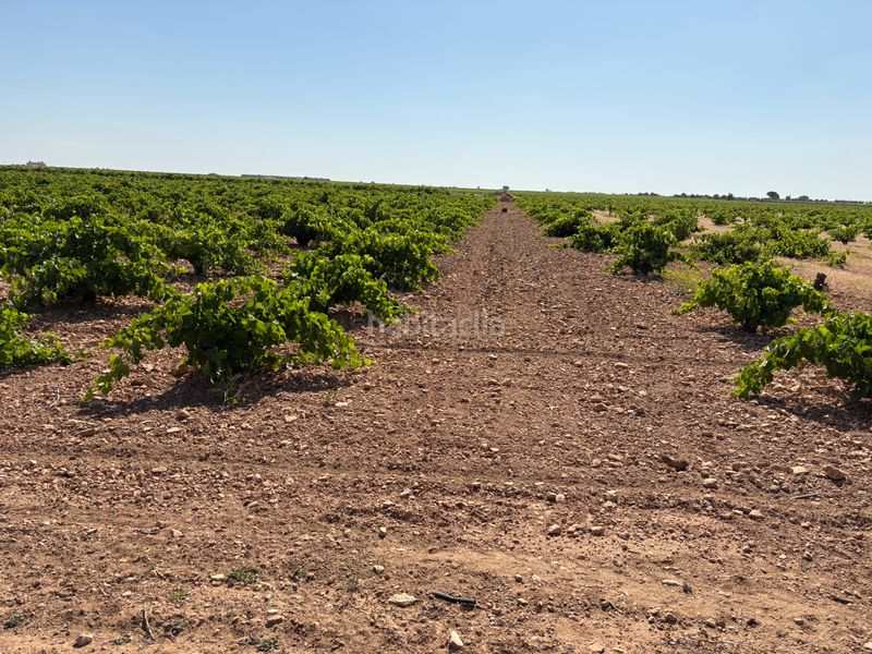 Foto 3caa5c73-7774-47e1-9538-e960a3bfab96. Finca rústica a cm-3102 9 a Tomelloso
