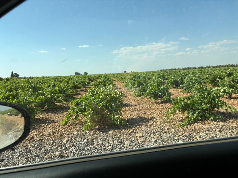 Foto 5ace62a1-517d-49db-88ff-d7bbd15b1675. Finca rústica a cm-3102 9 a Tomelloso