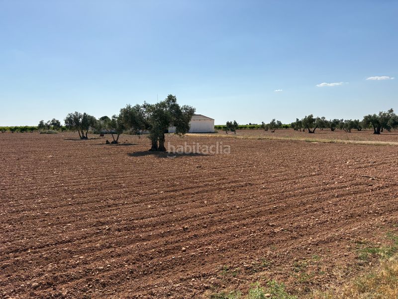 Foto 8d064da2-d1c9-46d1-a8a1-e78fec08391f. Finca rústica a cm-3102 9 a Tomelloso