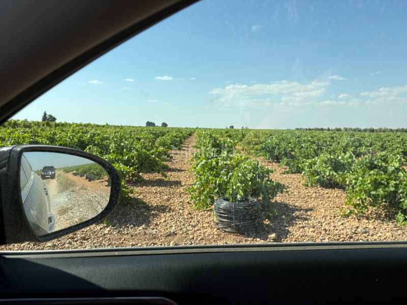 Foto ccae52c3-b0f0-42cc-8b80-988ff9a50cce. Finca rústica a cm-3102 9 a Tomelloso