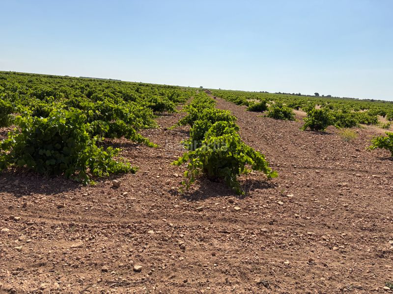 Foto ebf8582f-5534-411a-9c3d-b6f2ddfb92b1. Finca rústica a cm-3102 9 a Tomelloso