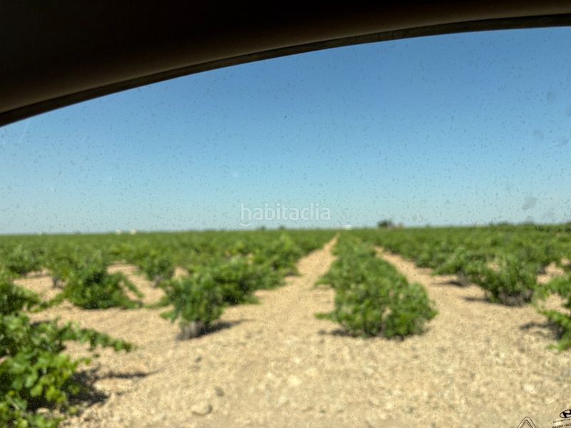 Foto f2f42f93-e455-4f00-90fd-3bbbc70a4dc2. Finca rústica a cm-3102 9 a Tomelloso
