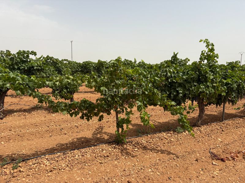 Foto a555064c-2352-419f-895d-8dfa7c9d51e9. Finca rústica a n/a a Socuéllamos