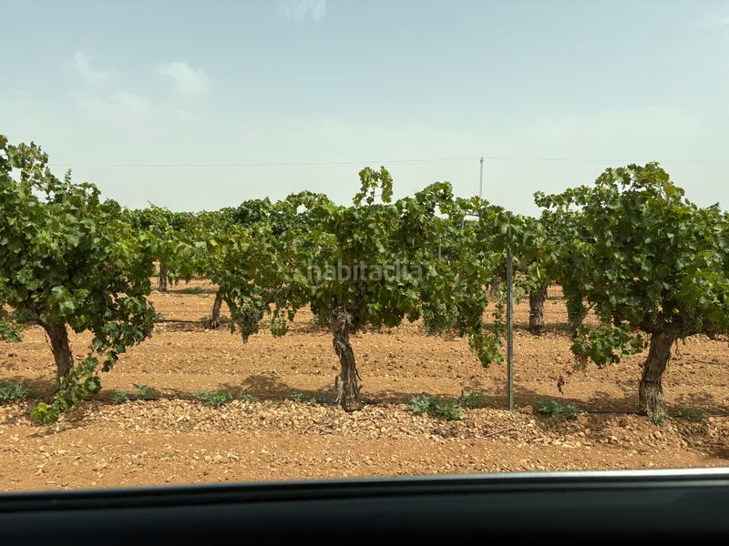 Foto a73c25ae-69a4-4765-a99e-58b06e000b20. Finca rústica a n/a a Socuéllamos