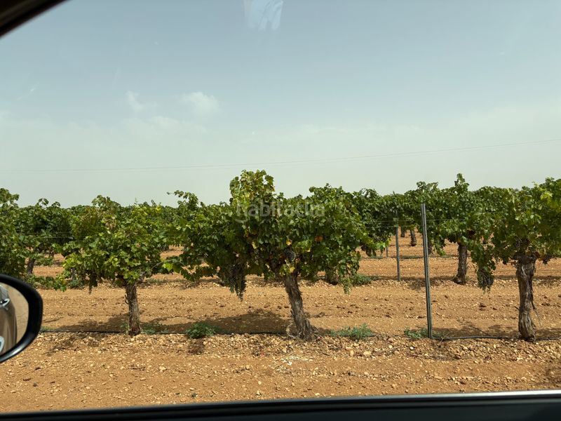 Foto bf84ee89-aa45-489e-8aa1-f88d98106a4d. Finca rústica a n/a a Socuéllamos