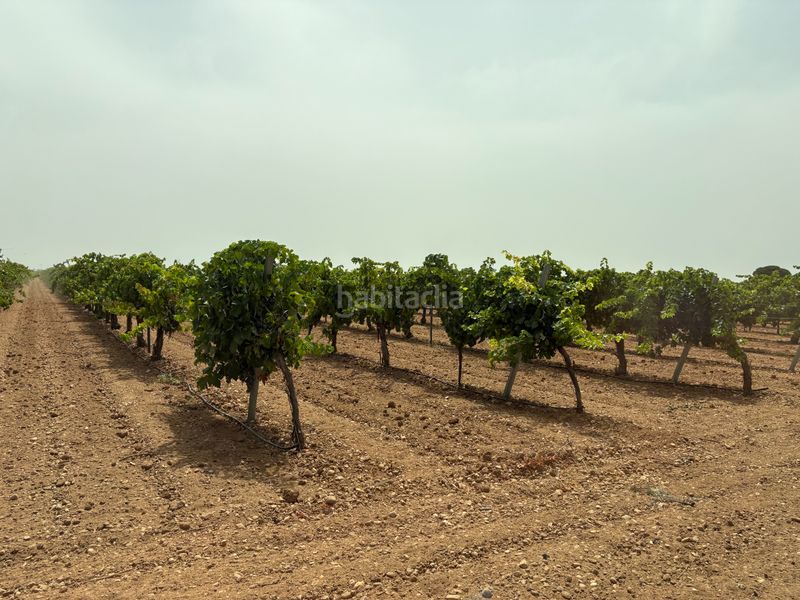 Foto cb2a5c3b-d800-4379-a239-235574f7fc7a. Finca rústica a n/a a Socuéllamos