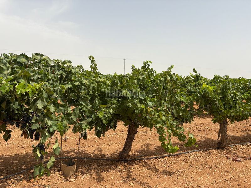 Foto d185d566-f98c-4ac9-85a4-0bb713c4a0f9. Finca rústica a n/a a Socuéllamos