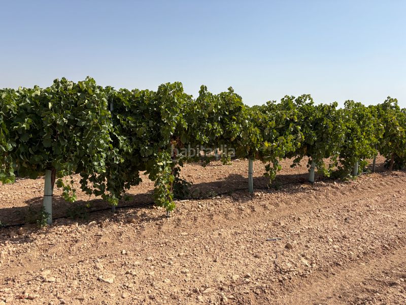 Foto 51e11da8-1f9e-4144-a7e4-c96a76111318. Finca rústica a cm-3103 38 a Tomelloso