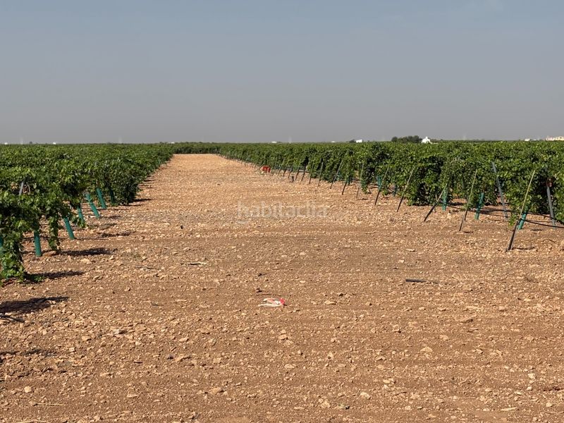 Foto 8f61e057-6aa1-439d-b6fb-163efb705526. Finca rústica a cm-3103 38 a Tomelloso