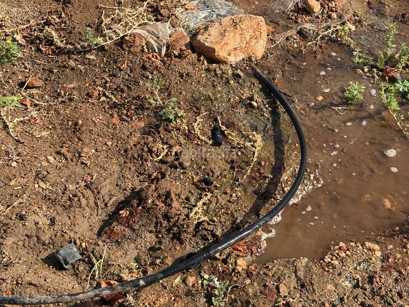 Foto 91f171f8-c1cc-4bff-a1ea-b87e83352e95. Finca rústica a cm-3103 38 a Tomelloso