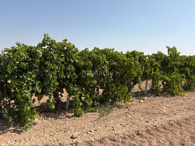 Foto a171df1e-dbfb-4310-b280-1aec1f17e0ef. Finca rústica a cm-3103 38 a Tomelloso