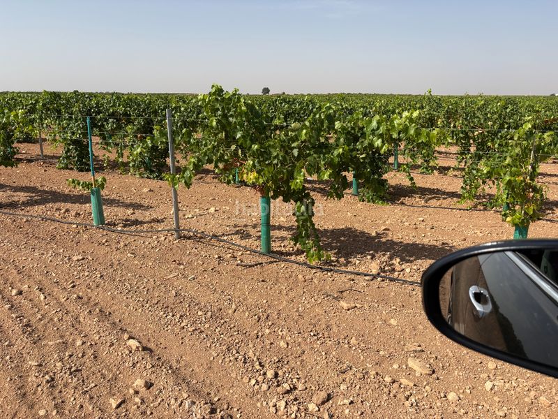 Foto d4b5a641-508c-4fe9-b21d-e2793d98a5ff. Finca rústica a cm-3103 38 a Tomelloso