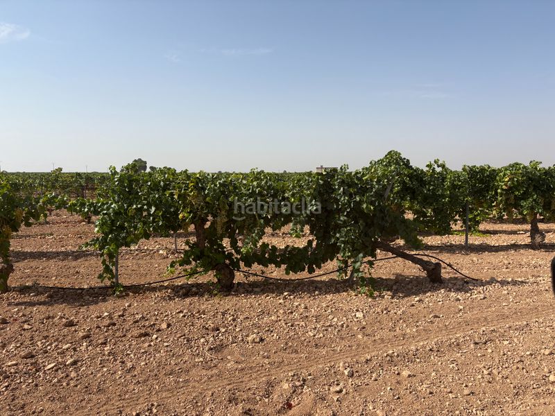 Foto d84d994a-e14a-4829-9c6c-91e18d911ae3. Finca rústica a cm-3103 38 a Tomelloso