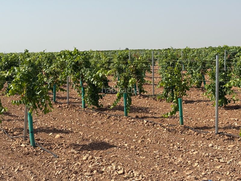 Foto f27e0830-3c54-488c-9597-506183601527. Finca rústica a cm-3103 38 a Tomelloso