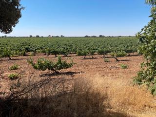 Finca rústica  N/a