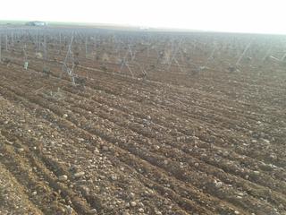 Rural plot  Autovía de extremadura a la comunidad valenciana