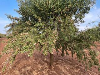 Landgut  N/a