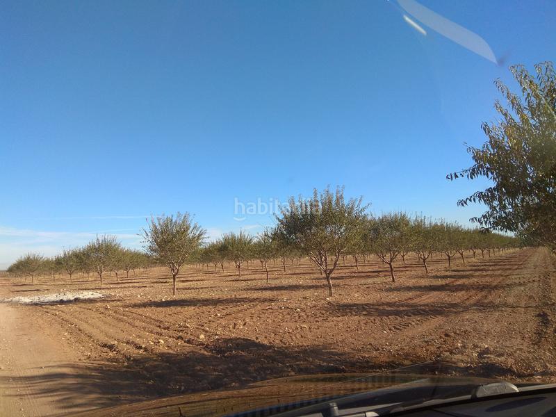 Foto 17168d5d-2eb1-4a38-8700-f356b5d60742. Finca rústica a Mesas (Las)
