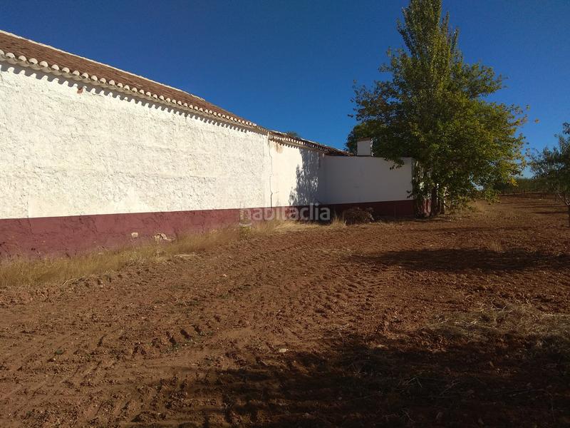 Foto 26031c77-9b9c-436e-8959-6970ef83526f. Finca rústica a Mesas (Las)