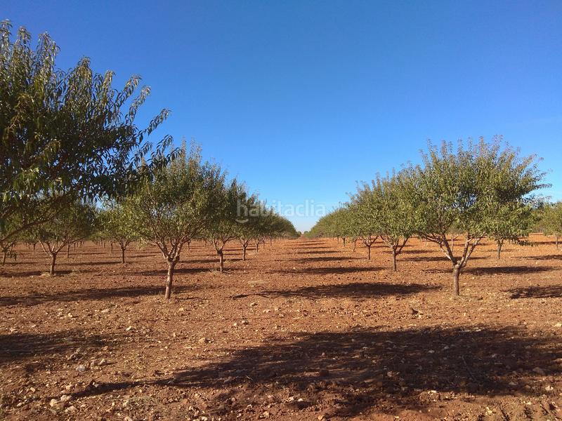 Foto 508d5c44-74af-4e51-89e9-80195ead6daf. Finca rústica a Mesas (Las)