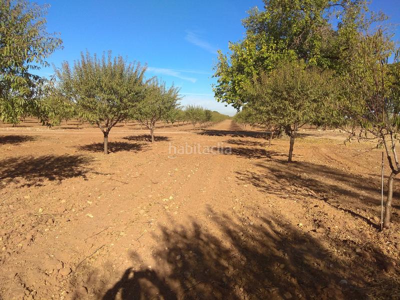 Foto 5170a0fe-73e0-45d7-8b46-179bb5bff13d. Finca rústica a Mesas (Las)
