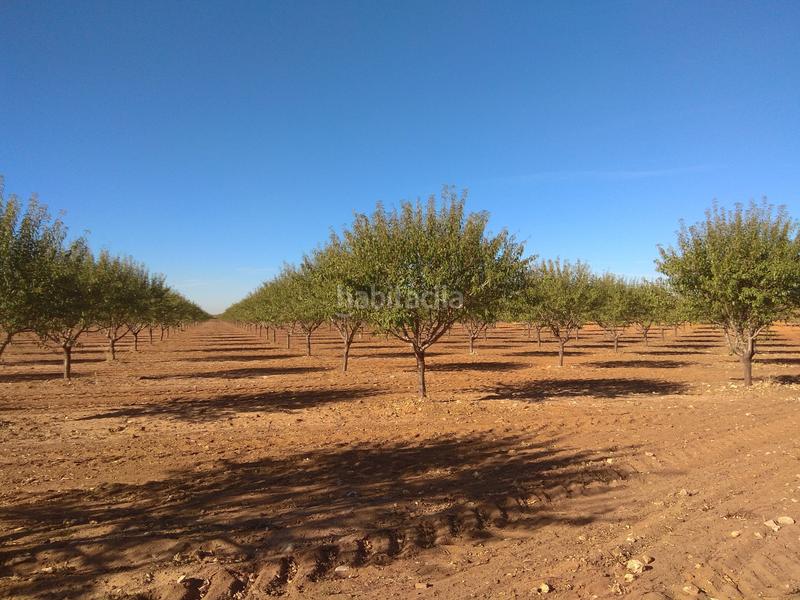 Foto 5c4ca4b2-f6e0-4e2b-9b30-c7fba926e4ba. Finca rústica a Mesas (Las)