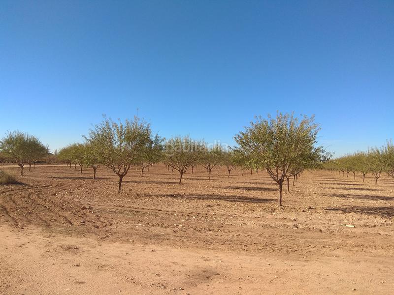 Foto 5c8c10e7-2f93-478a-a8cc-55df050db34b. Finca rústica a Mesas (Las)