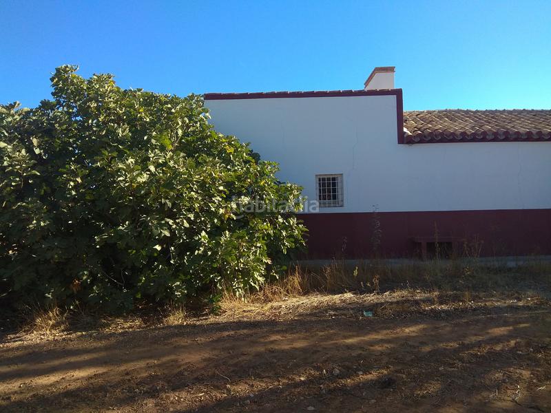 Foto 66b8c215-5795-4605-8971-8dbfb7b6ed3f. Finca rústica a Mesas (Las)