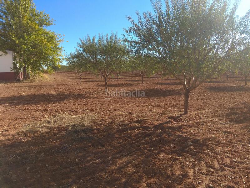 Foto 66e8f690-d354-4aa8-88b9-256755e2f06b. Finca rústica a Mesas (Las)