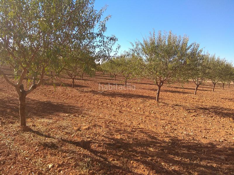 Foto 7033fe5d-d831-4e69-a613-a191eac500f4. Finca rústica a Mesas (Las)