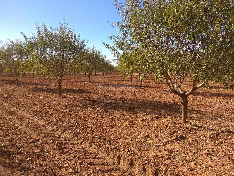 Foto 75b552b6-4c36-4280-a41a-6f2b149d63fc. Finca rústica a Mesas (Las)