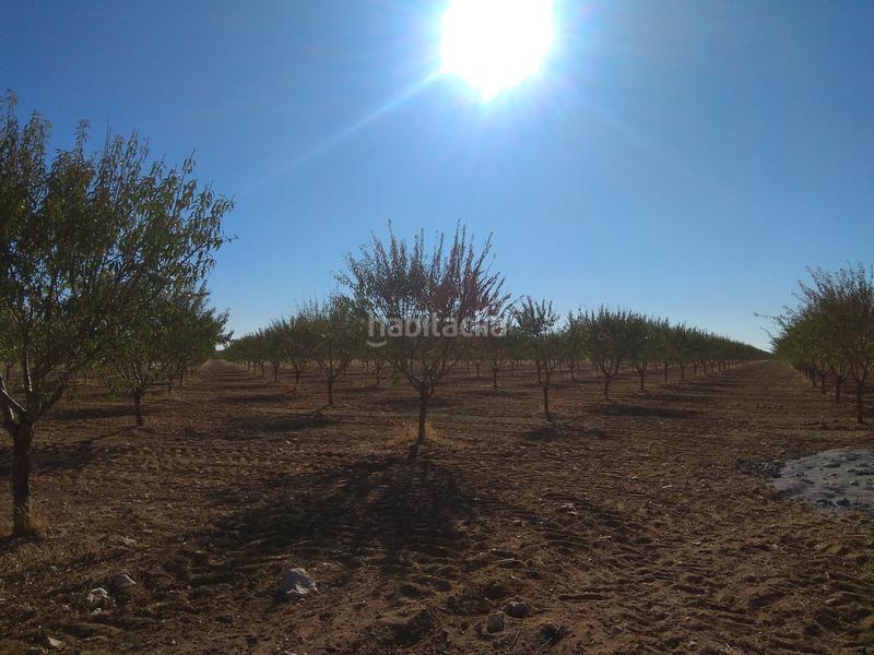 Foto adaa60ac-82a5-4b7c-82f1-7bc24121cfa0. Finca rústica a Mesas (Las)