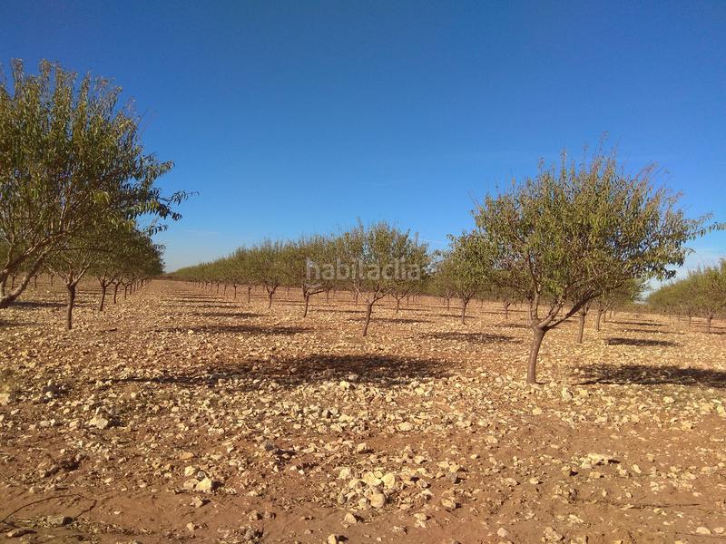Foto b4a3f8b3-c323-4f08-89cb-d373f239a353. Finca rústica a Mesas (Las)