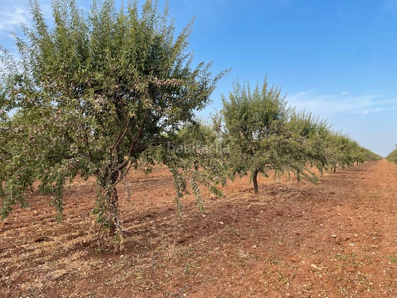 Foto d35a2e54-0de2-4f30-9bb5-030319364952. Finca rústica a Mesas (Las)