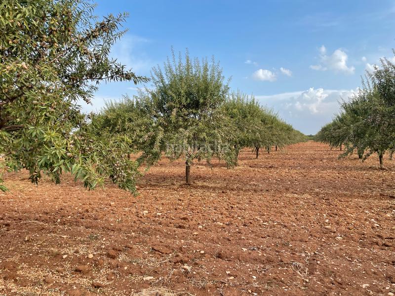 Foto d5af8dd0-3f59-4128-a5d9-0c3a3adca314. Finca rústica a Mesas (Las)