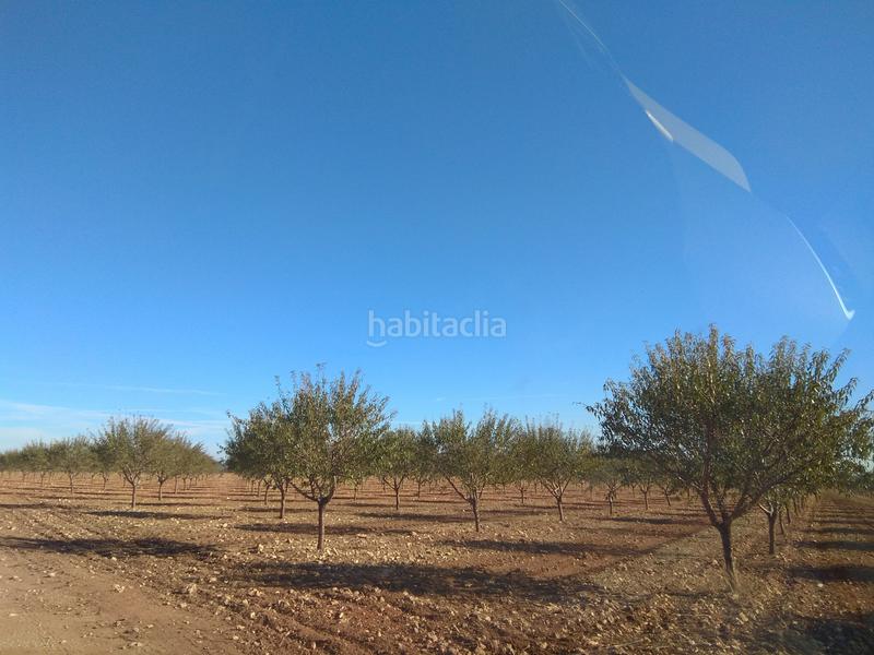 Foto fc312691-bdbd-435f-a123-61861958fe44. Finca rústica a Mesas (Las)
