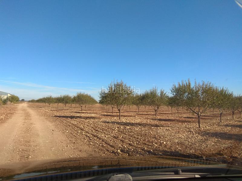 Foto 242ec4f8-800b-40f7-b2aa-bf4c46d17890. Finca rústica en Mesas (Las)