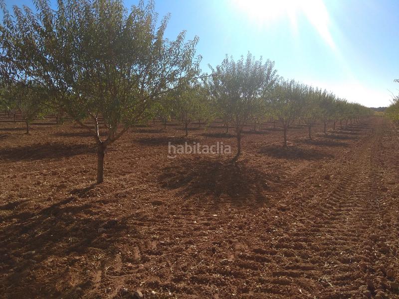 Foto 265e0555-3369-42b6-afdf-1cfbcf68a691. Finca rústica en Mesas (Las)