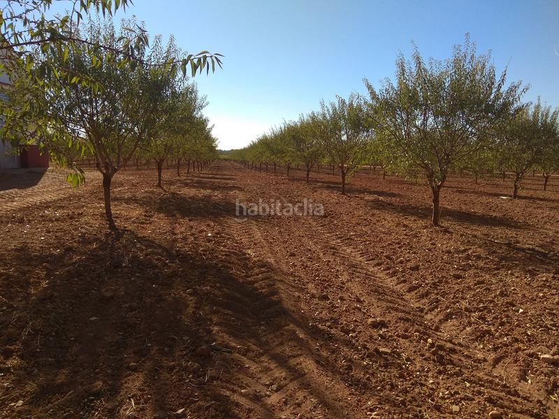 Foto 4b2299d9-e215-4803-b6d6-d23892441565. Finca rústica en Mesas (Las)