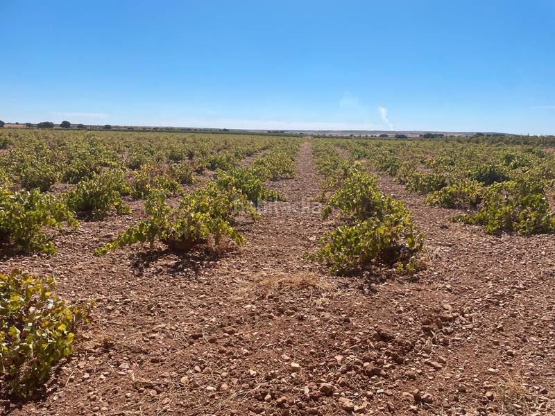 Foto 12e7c6bd-c95b-4733-856b-c0e93b71841a. Finca rústica en Alcázar de San Juan