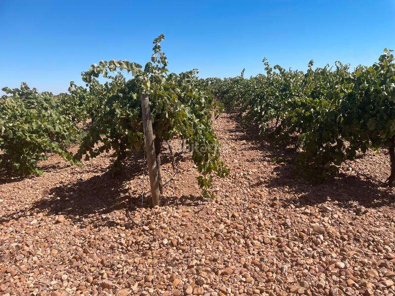 Foto 2fda5b8b-8ee8-4f84-8947-304401d4ec77. Finca rústica en Alcázar de San Juan